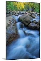 Alpine River in Autumn, Hope Valley California-null-Mounted Photographic Print