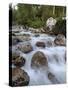 Alpine River, Near Ramsau, Berchtesgaden, Bavaria, Germany, Europe-Gary Cook-Stretched Canvas