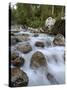 Alpine River, Near Ramsau, Berchtesgaden, Bavaria, Germany, Europe-Gary Cook-Stretched Canvas