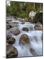 Alpine River, Near Ramsau, Berchtesgaden, Bavaria, Germany, Europe-Gary Cook-Mounted Photographic Print
