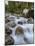 Alpine River, Near Ramsau, Berchtesgaden, Bavaria, Germany, Europe-Gary Cook-Mounted Photographic Print