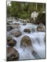 Alpine River, Near Ramsau, Berchtesgaden, Bavaria, Germany, Europe-Gary Cook-Mounted Photographic Print