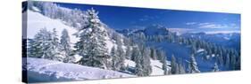 Alpine Scene, Bavaria, Germany-null-Stretched Canvas