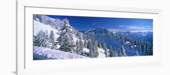 Alpine Scene, Bavaria, Germany-null-Framed Photographic Print