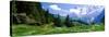 Alpine Scene Near Murren Switzerland-null-Stretched Canvas