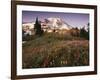 Alpine Summer Wildflowers, Mt. Rainer National Park-Stuart Westmorland-Framed Photographic Print