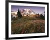 Alpine Summer Wildflowers, Mt. Rainer National Park-Stuart Westmorland-Framed Photographic Print