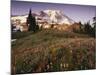 Alpine Summer Wildflowers, Mt. Rainer National Park-Stuart Westmorland-Mounted Photographic Print