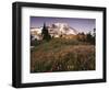 Alpine Summer Wildflowers, Mt. Rainer National Park-Stuart Westmorland-Framed Photographic Print