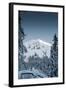 Alpine Trails-Craig Howarth-Framed Photographic Print