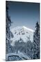 Alpine Trails-Craig Howarth-Mounted Photographic Print