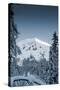 Alpine Trails-Craig Howarth-Stretched Canvas