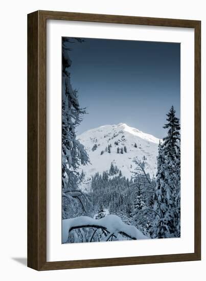 Alpine Trails-Craig Howarth-Framed Photographic Print