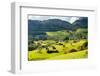 Alpine Village in Switzerland-Anatolii Lyzun-Framed Photographic Print