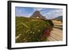 Alpine Wildflowers Along Boardwalk , Glacier National Park, Montana-Chuck Haney-Framed Photographic Print