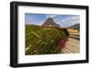 Alpine Wildflowers Along Boardwalk , Glacier National Park, Montana-Chuck Haney-Framed Photographic Print