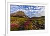 Alpine Wildflowers in the Hanging Gardens of Logan Pass in Glacier National Park, Montana, Usa-Chuck Haney-Framed Photographic Print