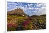 Alpine Wildflowers in the Hanging Gardens of Logan Pass in Glacier National Park, Montana, Usa-Chuck Haney-Framed Premium Photographic Print