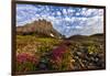 Alpine Wildflowers in the Hanging Gardens of Logan Pass in Glacier National Park, Montana, Usa-Chuck Haney-Framed Premium Photographic Print