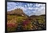 Alpine Wildflowers in the Hanging Gardens of Logan Pass in Glacier National Park, Montana, Usa-Chuck Haney-Framed Premium Photographic Print