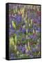 Alpine Wildflowers, Mount Rainier-Ken Archer-Framed Stretched Canvas