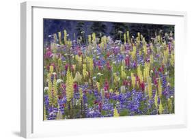 Alpine Wildflowers, Mount Rainier-Ken Archer-Framed Photographic Print