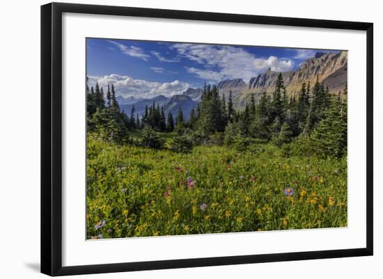 Alpine Wildflowers with Garden Wall at Logan Pass in Glacier National Park, Montana, Usa-Chuck Haney-Framed Photographic Print