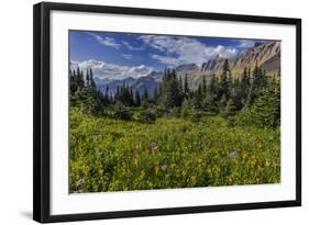 Alpine Wildflowers with Garden Wall at Logan Pass in Glacier National Park, Montana, Usa-Chuck Haney-Framed Photographic Print