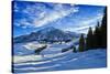 Alpine Winter Landscape, Austria, Europe-Sabine Jacobs-Stretched Canvas