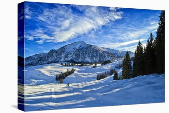 Alpine Winter Landscape, Austria, Europe-Sabine Jacobs-Stretched Canvas