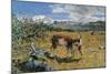 Alps in May (The Loving Mother)-Giovanni Segantini-Mounted Art Print