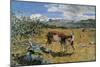 Alps in May (The Loving Mother)-Giovanni Segantini-Mounted Art Print