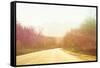 Alsaska Roadtrip-Savanah Plank-Framed Stretched Canvas