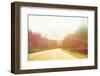 Alsaska Roadtrip-Savanah Plank-Framed Photo