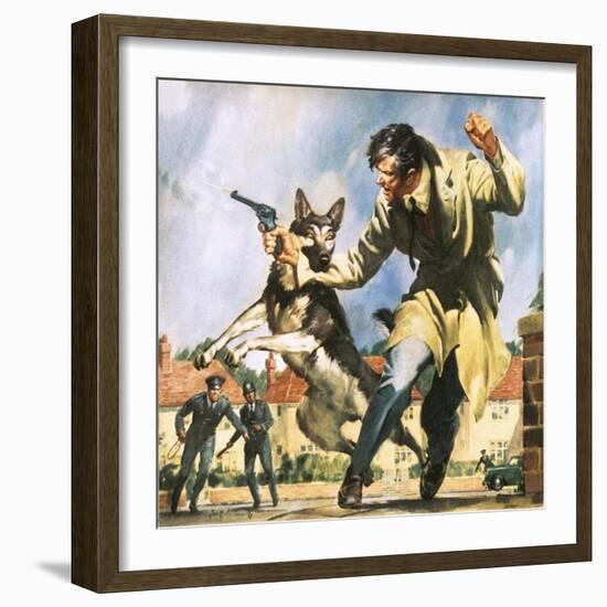 Alsatian Police Dog-McConnell-Framed Giclee Print