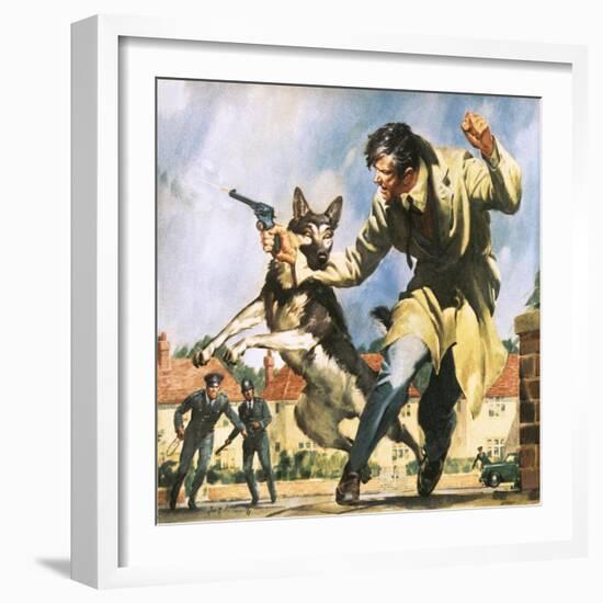 Alsatian Police Dog-McConnell-Framed Giclee Print