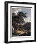 Alsophila-null-Framed Giclee Print