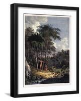 Alsophila-null-Framed Giclee Print