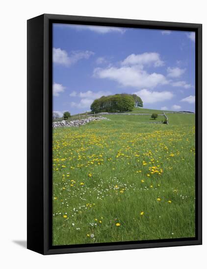 Alstonfield, Peak District National Park, Derbyshire, England, United Kingdom-Roy Rainford-Framed Stretched Canvas