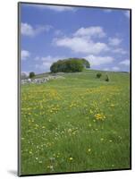 Alstonfield, Peak District National Park, Derbyshire, England, United Kingdom-Roy Rainford-Mounted Photographic Print