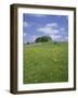 Alstonfield, Peak District National Park, Derbyshire, England, United Kingdom-Roy Rainford-Framed Photographic Print