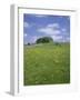 Alstonfield, Peak District National Park, Derbyshire, England, United Kingdom-Roy Rainford-Framed Photographic Print