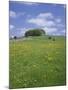 Alstonfield, Peak District National Park, Derbyshire, England, United Kingdom-Roy Rainford-Mounted Photographic Print