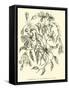 Alstroemerias of the Quebrada of Cuzco-Édouard Riou-Framed Stretched Canvas