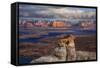 Alstrom Point Page, Arizona, USA, Lake Powell-John Ford-Framed Stretched Canvas