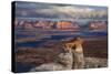 Alstrom Point Page, Arizona, USA, Lake Powell-John Ford-Stretched Canvas