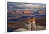 Alstrom Point Page, Arizona, USA, Lake Powell-John Ford-Framed Photographic Print