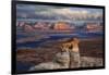 Alstrom Point Page, Arizona, USA, Lake Powell-John Ford-Framed Photographic Print