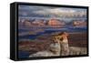 Alstrom Point Page, Arizona, USA, Lake Powell-John Ford-Framed Stretched Canvas