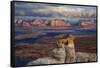 Alstrom Point Page, Arizona, USA, Lake Powell-John Ford-Framed Stretched Canvas